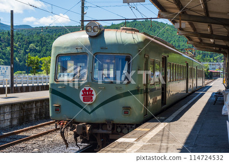 Nankai Electric Railway 21000 Series Zoom Car on the Oigawa Railway 114724532