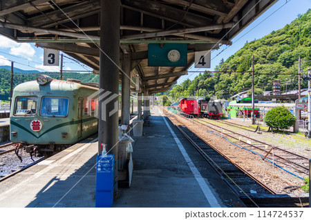 大井川鐵道南海電車21000系列變焦車廂 大井川鐵道南海電車21000系列變焦車廂 114724537
