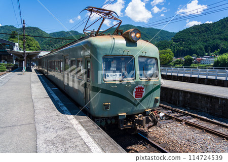 Nankai Electric Railway 21000 Series Zoom Car on the Oigawa Railway 114724539