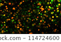 Bokeh lights green orange on black background. Abstract Lights. Unfocused Light background. Blurred night light. bokeh background, Blur concept colorful effect 114724600