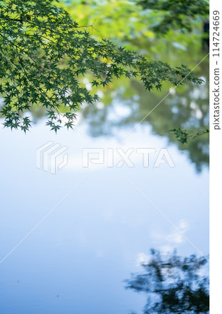 Blue sky and autumn leaves reflected on the water surface 114724669