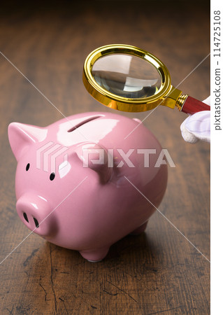 Pig money box and magnifying glass 114725108