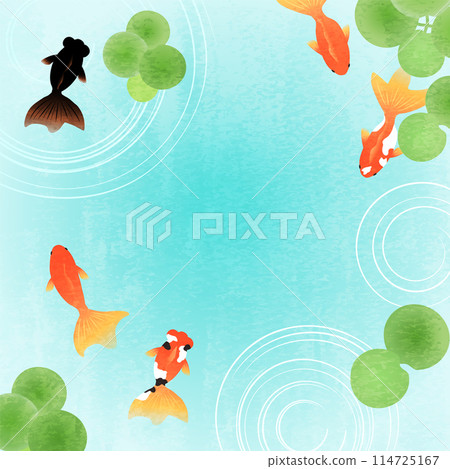 金魚背景素材_13 金魚背景素材_13 114725167