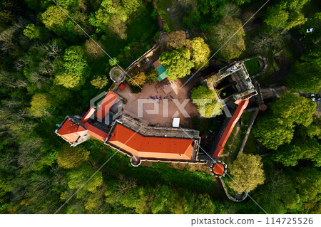 Old fortress surrounded by green forest, aerial view. Grodziec Castle, Poland Old fortress surrounded by green forest, aerial view. Grodziec Castle, Poland 114725526