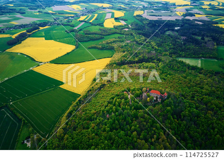Old fortress surrounded by green forest, aerial view. Grodziec Castle, Poland 114725527