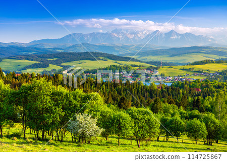 Mountain landscape in the Pieniny National Park at the foot of the Tatra Mountains 114725867