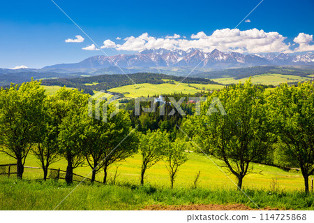 Mountain landscape in the Pieniny National Park at the foot of the Tatra Mountains 114725868