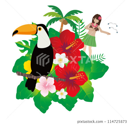 熱帶圖像圖 114725873