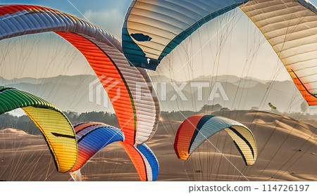 在沙丘上享受滑翔傘的畫面 114726197