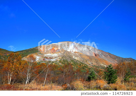 Autumn foliage in the Jododaira Marshland and Mount Issaikyo / Bandai-Azuma Skyline, Fukushima City, Fukushima Prefecture Autumn foliage in the Jododaira Marshland and Mount Issaikyo / Bandai-Azuma Skyline, Fukushima City, Fukushima Prefecture 114726923