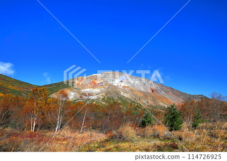 Autumn foliage at Jododaira and Issaikyozan / Bandai-Azuma Skyline, Fukushima City, Fukushima Prefecture 114726925