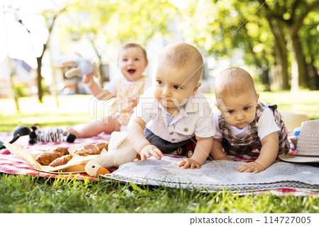 Babies crawling on picnic blanket, group picnic outdoor in park. 114727005