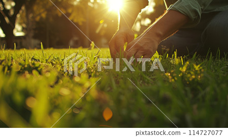 Green lawn care. 114727077