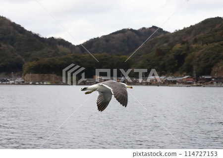 Kyoto by the Sea, Ine Town, Funaya Group 114727153