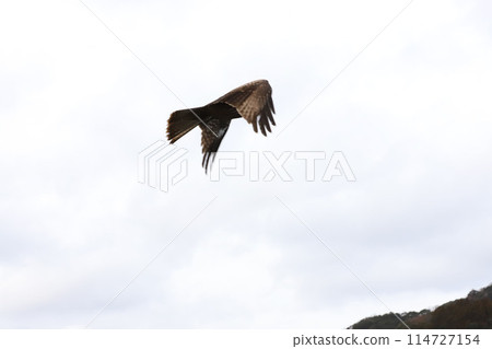 Kyoto by the Sea, Ine Town, Funaya Group Kyoto by the Sea, Ine Town, Funaya Group 114727154