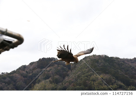 海之京都、伊根町、船屋集團 114727156