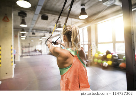 Beautiful sport woman doing suspension training, total resistance exercise. Routine workout for woman's physical and mental health. 114727302