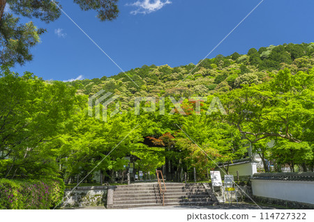 新鮮綠 京都永觀堂(善林寺)中門 新鮮綠 京都永觀堂(善林寺)中門 114727322