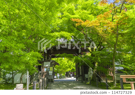 新鮮綠 京都永觀堂（善林寺）中門 114727329