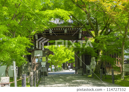 新鮮綠 京都永觀堂（善林寺）中門 114727332