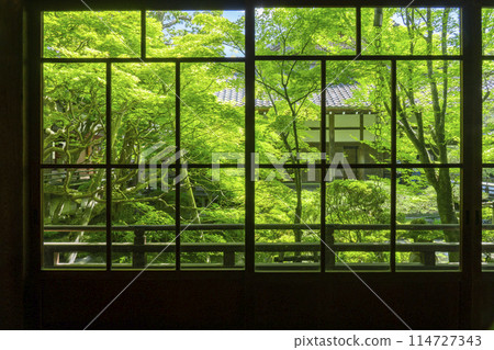Fresh greenery in Kyoto - Eikando (Zenrinji) - The garden seen from the old abbot's quarters Fresh greenery in Kyoto - Eikando (Zenrinji) - The garden seen from the old abbot's quarters 114727343