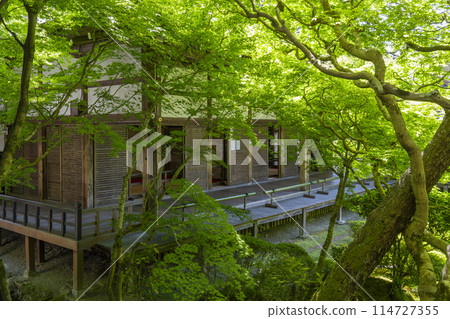 鮮綠的京都永觀堂(善林寺)北城花園 鮮綠的京都永觀堂(善林寺)北城花園 114727355