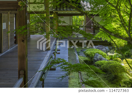 Fresh greenery in Kyoto: Eikando (Zenrinji) - Garden in front of Shakado Fresh greenery in Kyoto: Eikando (Zenrinji) - Garden in front of Shakado 114727363