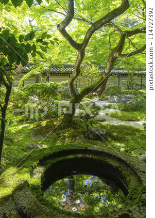 京都永堂（善林寺）釋迦堂南庭園及長須缽 114727392