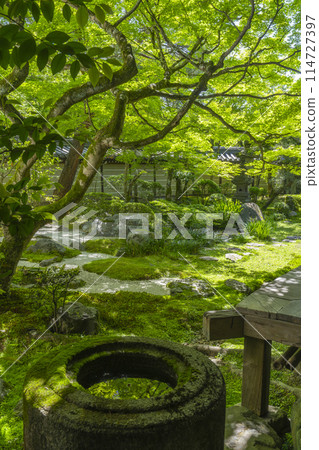 京都永堂(善林寺)釋迦堂南庭園及長須缽 京都永堂(善林寺)釋迦堂南庭園及長須缽 114727397