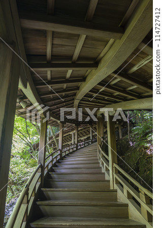 Fresh greenery in Kyoto: Eikando (Zenrinji) - Garyu-ro Fresh greenery in Kyoto: Eikando (Zenrinji) - Garyu-ro 114727412