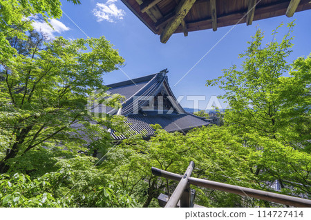Fresh greenery in Kyoto - Eikando (Zenrinji) - Goei-do Hall as seen from Garyu-ro 114727414