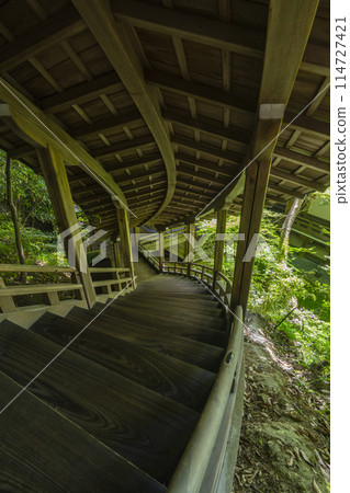 新鮮綠 京都永觀堂(善林寺)Garyuro 新鮮綠 京都永觀堂(善林寺)Garyuro 114727421