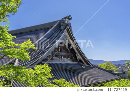 Fresh greenery in Kyoto - Eikando (Zenrinji) - Goei-do Hall as seen from Garyu-ro 114727439