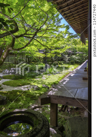 Kyoto Eikando (Zenrinji) Shakado South Garden and Chozubachi 114727440