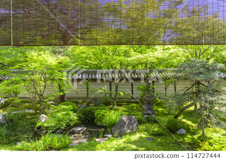 京都永觀堂(善林寺)釋迦堂南花園 京都永觀堂(善林寺)釋迦堂南花園 114727444