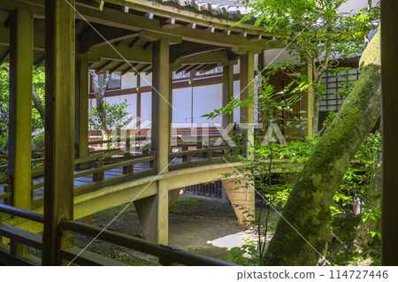 Kyoto Eikando (Zenrinji) - Northern Garden of the Hojo 114727446