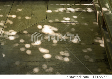 Kyoto Eikando (Zenrinji) - Sunlight filtering through the trees in the corridor 114727452