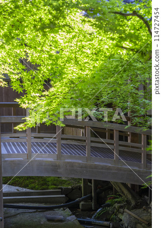 Kyoto Eikando (Zenrinji) corridor and green maples 114727454