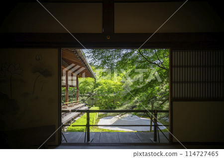 Kyoto Eikando (Zenrinji) - A garden of green leaves seen from Kakujudai Kyoto Eikando (Zenrinji) - A garden of green leaves seen from Kakujudai 114727465