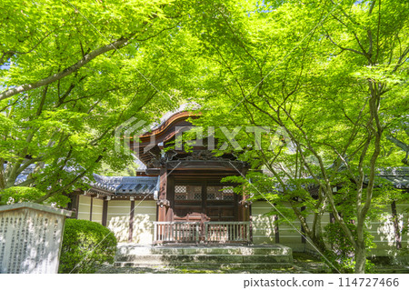 Kyoto Eikando Temple Karamon Gate (Imperial Envoy Gate) surrounded by green leaves 114727466