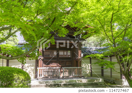 Kyoto Eikando Temple Karamon Gate (Imperial Envoy Gate) surrounded by green leaves 114727467
