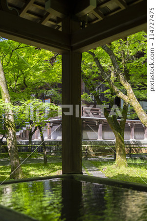 Kyoto Eikando Temple: The dragon-shaped water spout reflects the fresh greenery Kyoto Eikando Temple: The dragon-shaped water spout reflects the fresh greenery 114727475