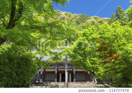 Eikando Temple, Kyoto: Amida Hall (main hall) surrounded by fresh greenery 114727478