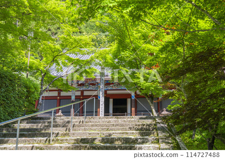 Eikando Temple, Kyoto: Amida Hall (main hall) surrounded by fresh greenery 114727488