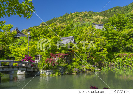 Kyoto Eikando Bentensha surrounded by fresh greenery 114727504