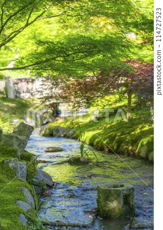 Eikando Temple, Kyoto - A view from Kaedebashi Bridge surrounded by fresh greenery 114727523