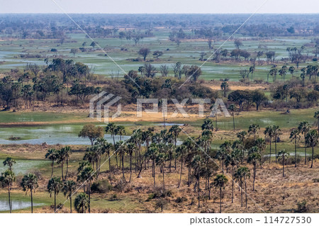 Aerial view of the Okavango Delta 114727530