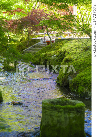 京都永無止境地,從被新綠環繞的楓橋眺望 京都永無止境地,從被新綠環繞的楓橋眺望 114727578