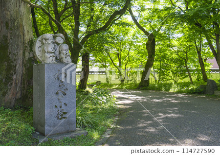Kyoto: Warabe-no-komichi surrounded by fresh greenery Kyoto: Warabe-no-komichi surrounded by fresh greenery 114727590