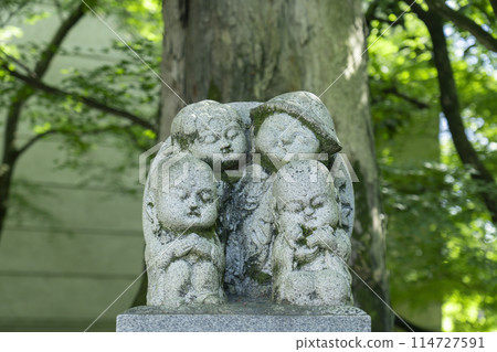 京都：被新綠色包圍的兒童小路 114727591